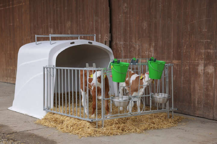 KERBL CalfHouse Premium DUO mit Umzäunung